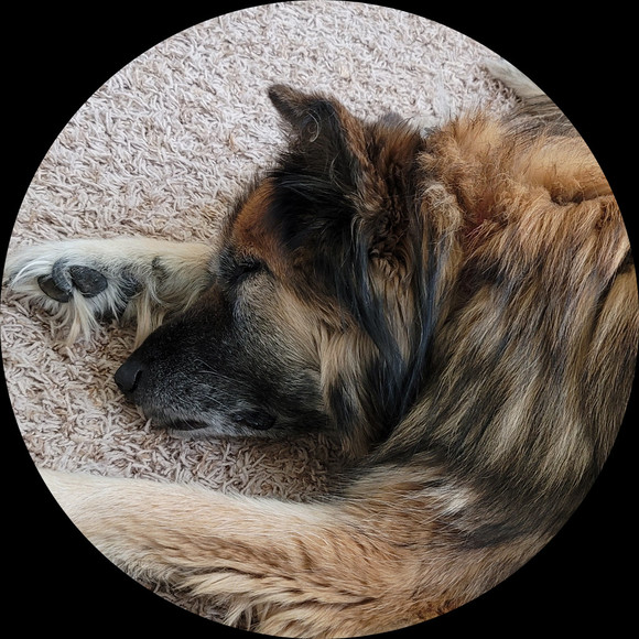 dakotapup09